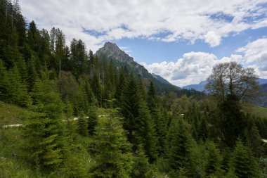Tannheimer dağ güveci başı, gri taştan yapılmış yüksek toprak yapısı, bir sürü yeşil kozalaklı, beyaz bulutlu mavi gökyüzü. Almanya, Cephe.