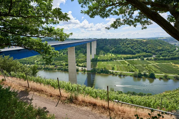 Piękny Most Moselle Valley Niebieskiej Stali Szarych Filarów Duże Drzewa — Zdjęcie stockowe