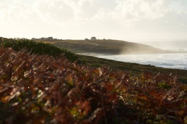 Sahilin önündeki fundalıkta bitkilerle gün doğumu. Kırbaçları kayalara püskürt. Gökyüzü sabahın erken saatlerinde pastel renkler parlatır. Tepedeki küçük ev. Fransa, İngiltere, Mesperleuc.