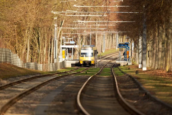 슈투트가르트 2022 트램웨이 나무들 사이를 운행하는 대중교통 수단이다 앞에서 가깝게 — 스톡 사진