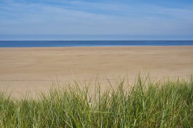 Hollanda Kuzey Denizi 'nin önündeki basit boş bir manzara. Bedava kumsalın önündeki yeşil çimen kum tepeciği, denizin arkasında. Öğlen. Ön manzara. Güney Hollanda, Zeeland, Brouwersdam.