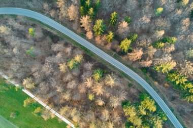 Alman karışık ormanlarında boş bir yolun havadan görünüşü. Asfalt eğrisi doğrudan yukarıdan drone ile ağaçlarla çevrilidir. Almanya 'da bahar.