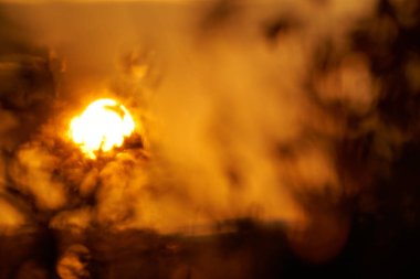 Bulanık hareket. Turuncu gökyüzünde güneş batar. Ön planda çalılar ve çalılar. Odaklanamıyorum. Soyut.