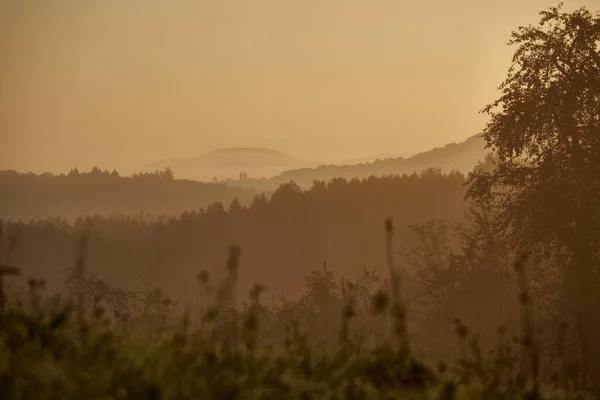 Pastel Colored Landscape Autumn Mountains Forests Different Layers Dawn Nature — Zdjęcie stockowe