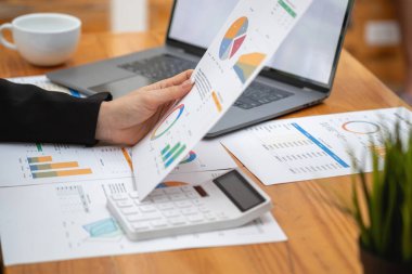 Marketing, Financial, Accounting, Planning, Business women analyze company results and profits with graph statistics. Use a laptop computer and a calculator to calculate the company's balance.