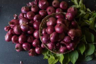 Seçici odaklı taze soğan çiftliği manzarası 