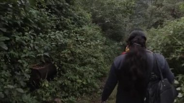 Yürüyüşçüler Hindistan 'ın Himalaya bölgesindeki yoğun yağmur ormanlarında yürürler.