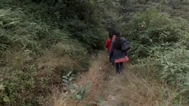 インドのヒマラヤ地域の密な熱帯雨林をトレッキングするトレッカー — ストック動画