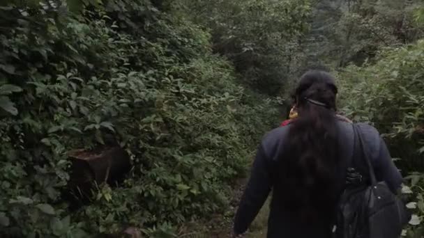 Trekkers Trekking Přes Hustý Deštný Prales Himálajské Oblasti Indie — Stock video
