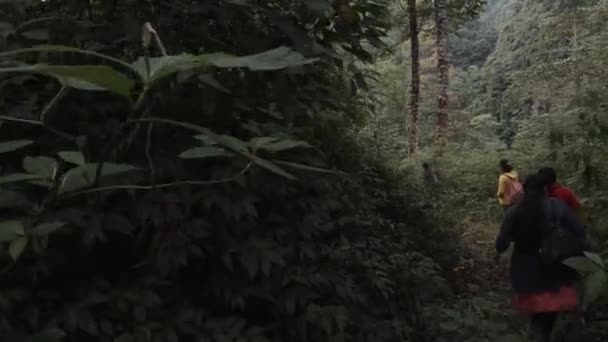 Escursionisti Trekking Attraverso Fitta Foresta Pluviale Della Regione Himalayana Dell — Video Stock