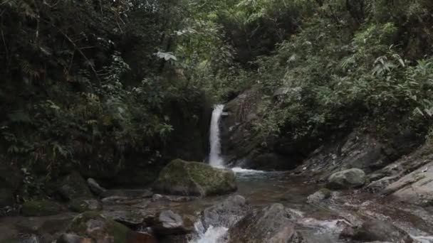 Hidden Waterfall Senchal Wildlife Sanctuary Darjeeling District West Bengal India — Stock Video