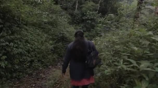 Wandelaars Trekking Door Het Dichte Regenwoud Van Himalaya Regio Van — Stockvideo