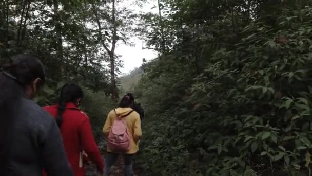 インドのヒマラヤ地域の密な熱帯雨林をトレッキングするトレッカー — ストック動画