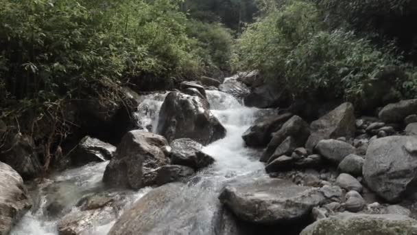 Air Terjun Tersembunyi Dalam Perlindungan Satwa Liar Senkal Distrik Darjeeling — Stok Video