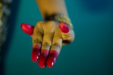 Bharatanatyam dansının mudras veya jestleri