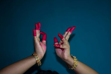 Bharatanatyam dansının mudras veya jestleri