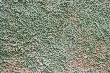 Yeşil ve kumlu boya karışımlı bir duvarın dokusu, pürüzlü boya dokusu, organik tonlar, yatay