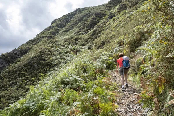 Sırtında sırt çantası olan yetişkin bir kadın eğrelti otları ve bitki örtüsüyle çevrili bir dağ uçurumu boyunca yürür.