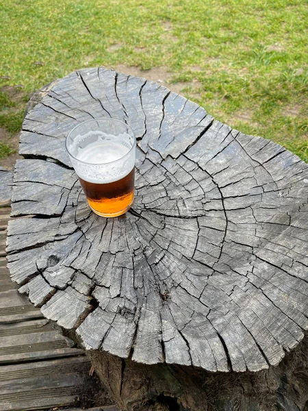 Half Drunk Glass Refreshing Beer Stump Large Tree Surrounded Grass — Foto Stock