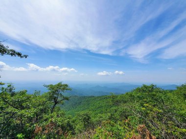 Blue Ridge Dağı Kuzey Carolina 'da Yeşil Ağaçların Üzerinde Kısmen Bulutlu Haziran Günü