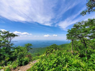 Blue Ridge Dağı Kuzey Carolina 'da Yeşil Ağaçların Üzerinde Kısmen Bulutlu Haziran Günü