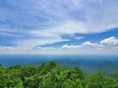 Blue Ridge Dağı Kuzey Carolina 'da Yeşil Ağaçların Üzerinde Kısmen Bulutlu Haziran Günü