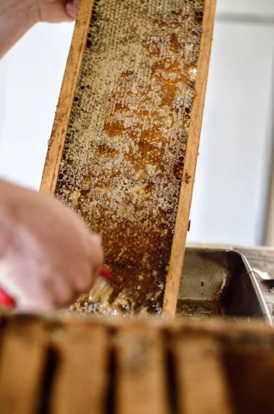 A small family farm begins to extract their first batch og honey on a clear summer day - The scrape the honeycomb and it drips with sweetness.