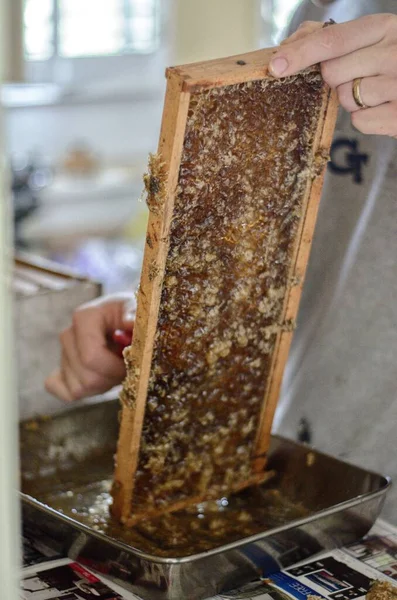 A small family farm begins to extract their first batch og honey on a clear summer day - The scrape the honeycomb and it drips with sweetness.