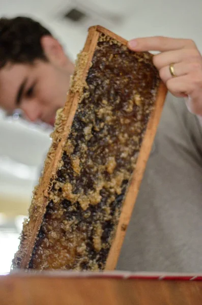 A small family farm begins to extract their first batch og honey on a clear summer day - The scrape the honeycomb and it drips with sweetness.