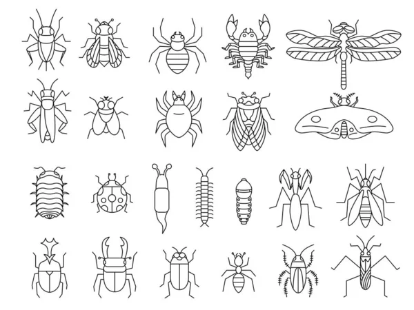Symbolset Für Insektenlinien — Stockvektor