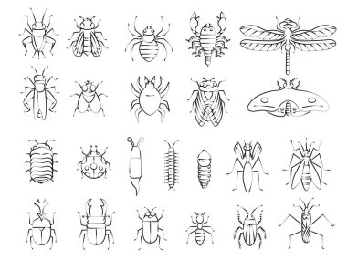 Insect brush icon set