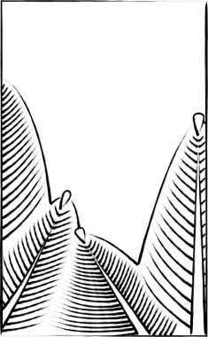 Hanafuda brush-drawn illustration Mutsuki Pine January Pine scum