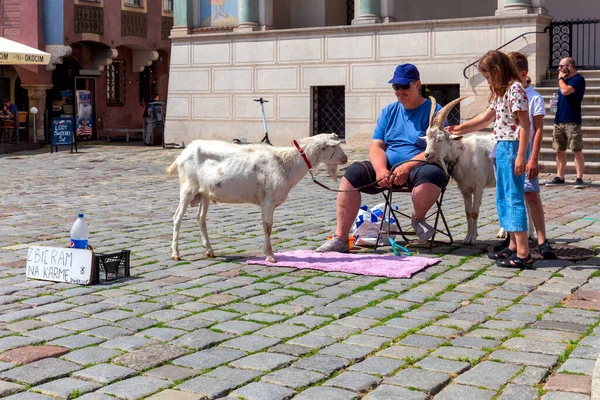 Poznan. Praça do mercado em um dia ensolarado. — Fotografia de Stock