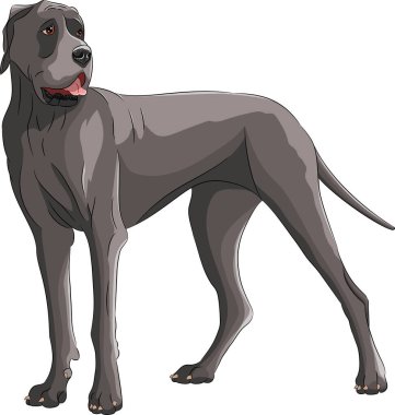 Askıdaki kahverengi Danua. Vektör illüstrasyonu.