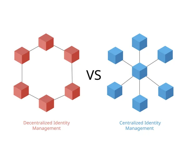 Centralized Decentralized Identity Management — Stock Vector