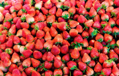 Taze çilek kırmızı renge sahiptir. Hücre yaşlanmasına karşı antioksidan içerir..