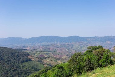 Yeşil orman ve mavi gökyüzü ile beyaz bulut arasında doğal manzara.