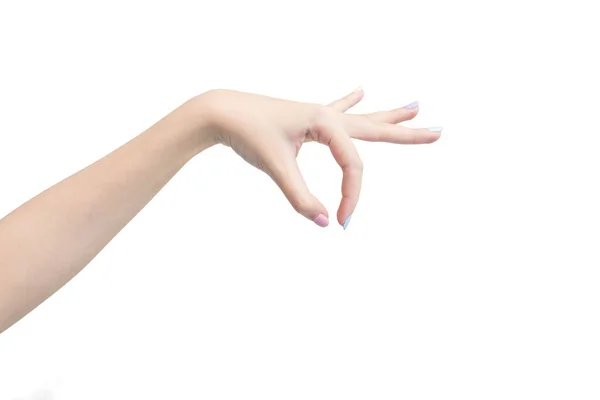 Vrouw Hand Poseert Gedraagt Zich Als Een Plukken Iets Geïsoleerd — Stockfoto