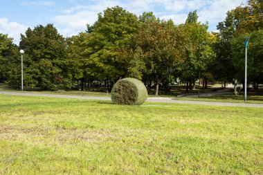 Şehir parklarında çim biçme ve temizleme. Atık ayıklama sorunu. Şehir parklarının ve sanayi alanlarının peyzaj tasarımı