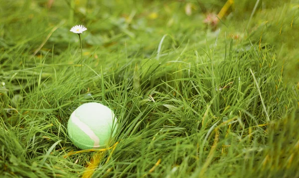 Piłka Tenisowa Zielonej Trawie Tło Przestrzenią Kopiowania Koncepcja Zdrowego Stylu — Zdjęcie stockowe