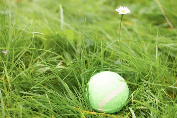 Bola Tênis Grama Verde Antecedentes Com Espaço Cópia Conceito Estilo — Fotografia de Stock