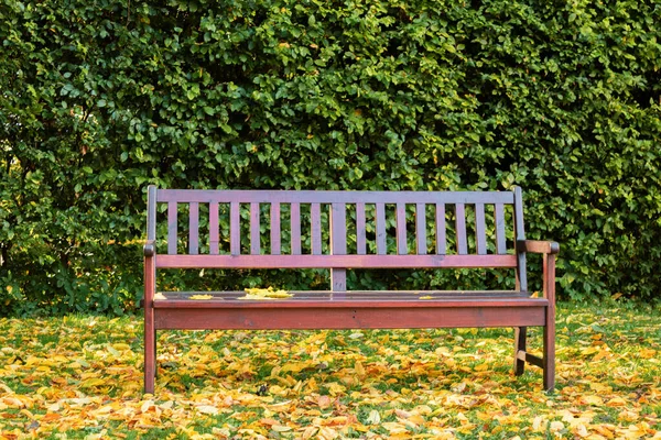 Beautiful Wooden Bench Autumn Park Bench Autumn Leaves Background Copy — Φωτογραφία Αρχείου