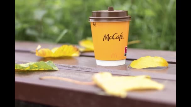 Paper Cup Mcdonald Coffee Background Yellow Leaves Glass Coffee Park — Stock video