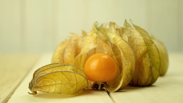 Fresh Physalis Berries Rustic Background Copy Space Camera Zoom One — 图库视频影像