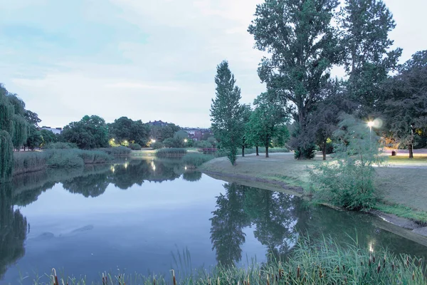 Beautiful morning sunrise in the city park. Beautiful panorama of green city park at sunrise