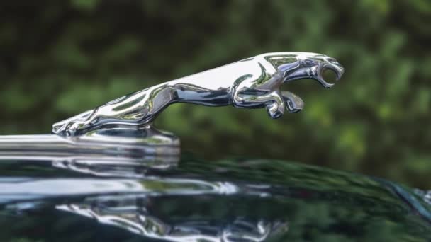 Poland Warsaw August 2022 Jaguar Car Sign Close Jaguar Emblem — Wideo stockowe