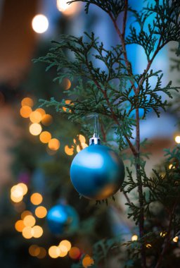 Çam ağacı dalında canlı Noel süslemeleri. Bulanık arka plan ve parlak Noel ışıkları. Bokeh. Canlı mavi top