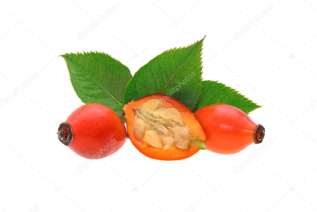 Whole and a half rose hips with green leaves isolated on a white background in close-up
