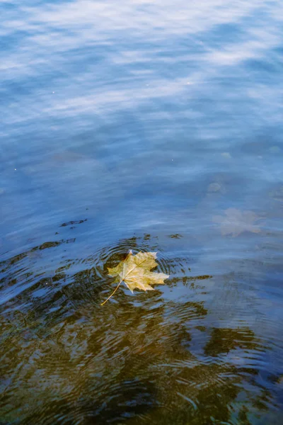 Herfst Achtergrond Gele Bladeren Water — Stockfoto