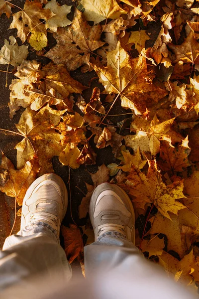 Herbsthintergrund Gelbes Laub Auf Pflasterplatten — Stockfoto
